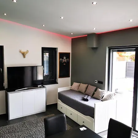 Luxory Minimal House Villa Siofok